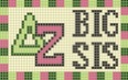 MyZaic Delta Zeta greek letters Big Sis plaque design
